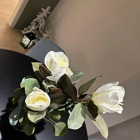 Casa Camilla - Casa Celine ルーゴ