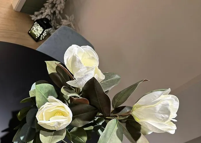 Casa Camilla - Casa Celine Lugo (Ravenna)